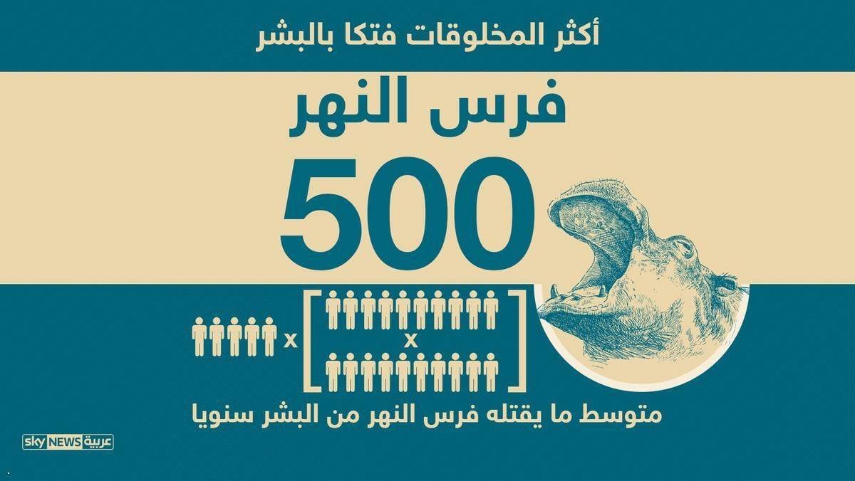 الإنسان ثاني أكثر المخلوقات فتكاً بالبشر.. فمن الأوّل؟