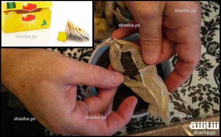 كارثة بشرية بعد اكتشاف ما تحتويه هذه الأنواع المشهورة من الشاي!