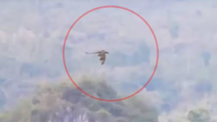 بالفيديو.. تنين يحلق فوق جبال بالصين