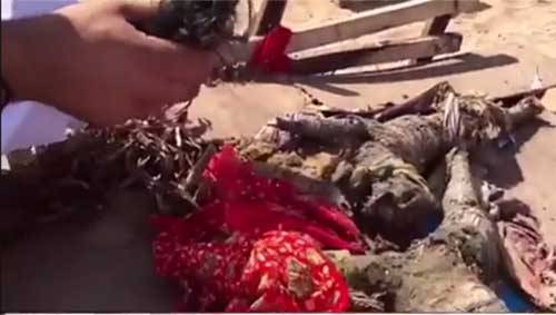 شاهد بالفيديو.. العثور على "سحر" قوي بهيئة "جثة طفل" بأحد شواطئ الإمارات