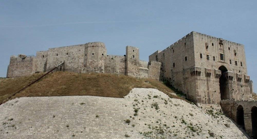 فولغوغراد الروسية تقترح ضم مدينة حلب كشقيقة لها