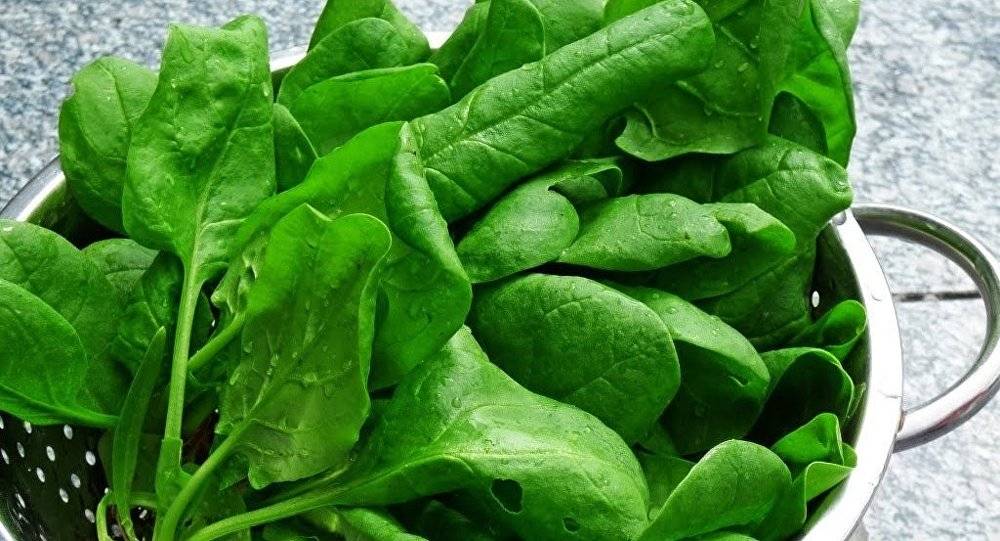 صدق أو لا تصدق...السبانخ تحارب الإرهاب