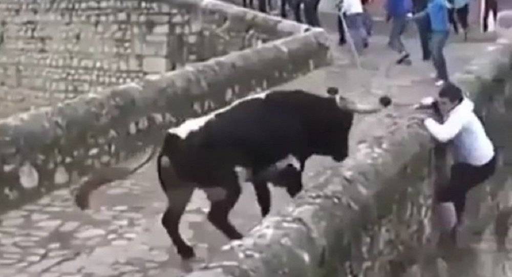 بالفيديو...سقوط رجل من أعلى جسر بسبب ثور هائج