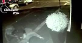 بالفيديو.. لصوص يحشرون برتقالة في فم سائح لسرقته