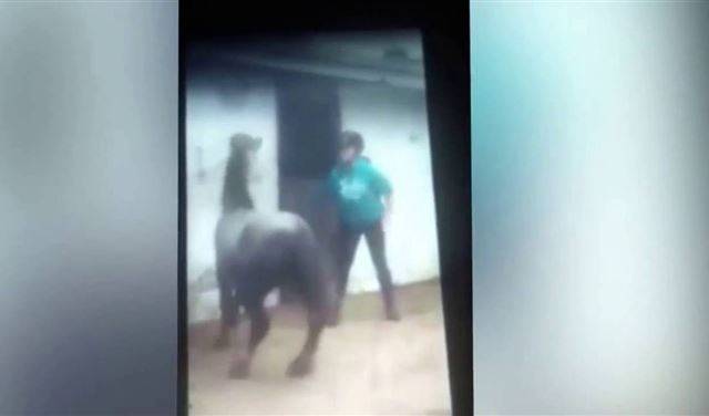 بالفيديو.. فتاة تجلد حصانها بقسوة بعدما أسقطها عن ظهره