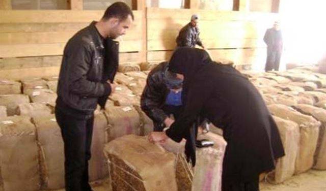 انتخابات لنقابة مزارعي التبغ والتنباك جنوبا في 20 الحالي