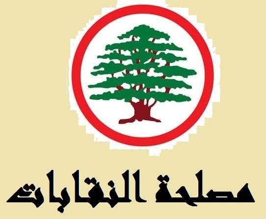نقابات القوات: لعدم تكبيد المواطن غرامات أزمة إغلاق مراكز المعاينة