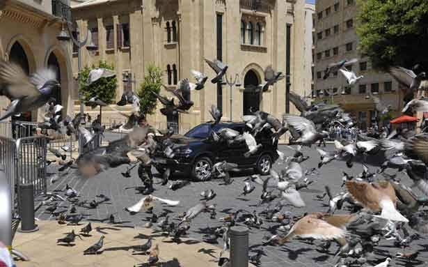طيور ساحة النجمة «حراس للديموقراطية»