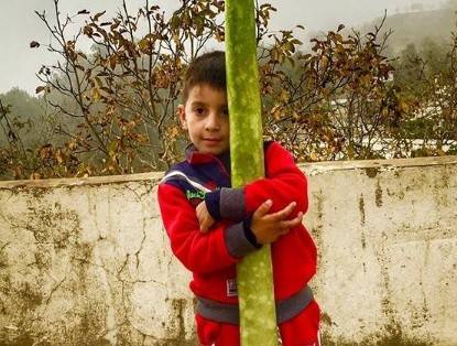 بالصورة: حبة 