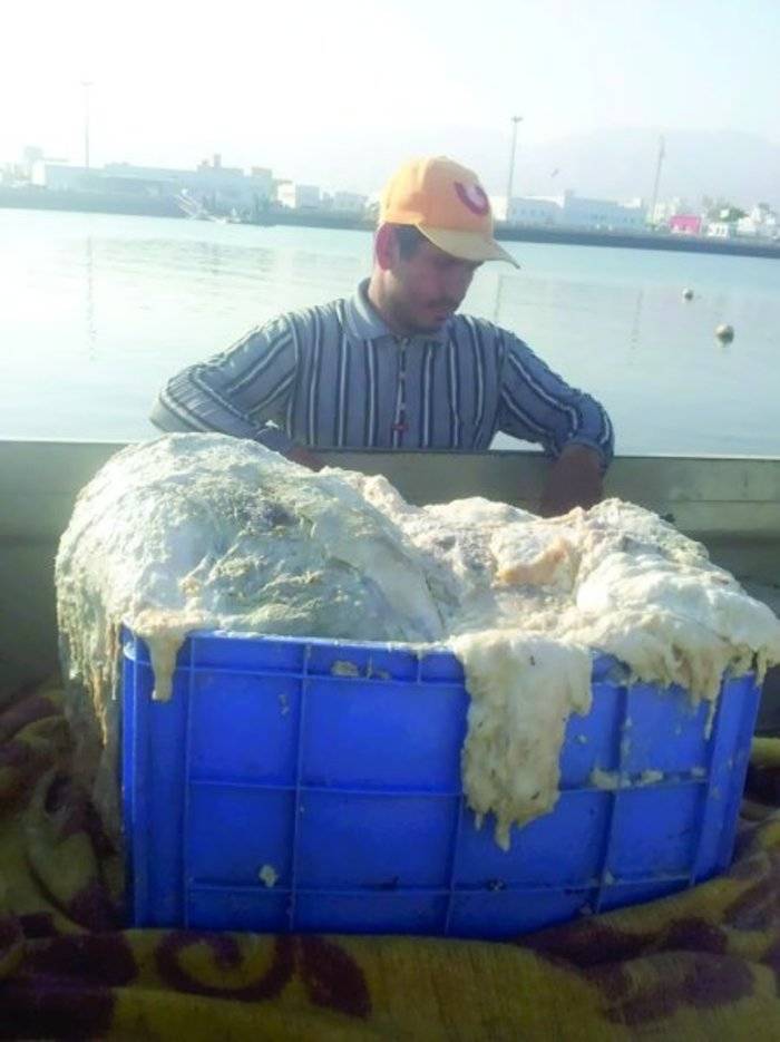 البحر يجعل صيّاداً عمانيّاً مليونيراً بالصدفة!