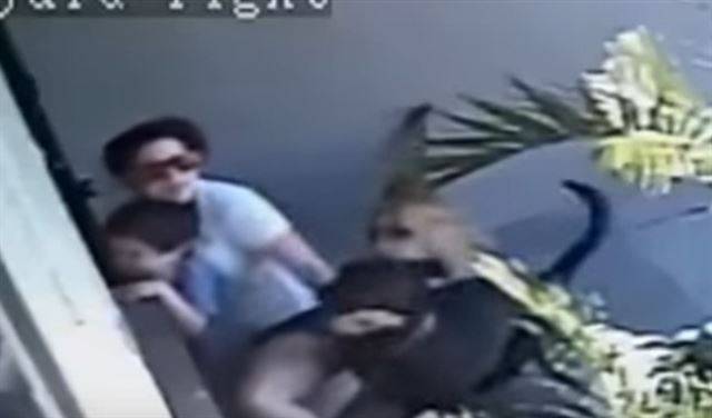 الفيديو: أم تحمي طفلها من هجوم كلبين متوحشين