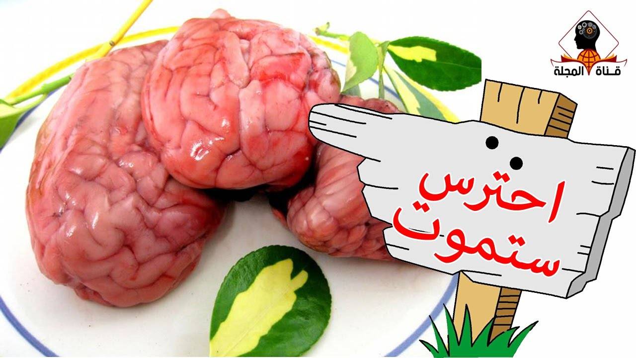 بالفيديو: حذاري.. هل تعلم ماذا يحدث لجسمك بعد أكل مخ الخروف والبقر؟