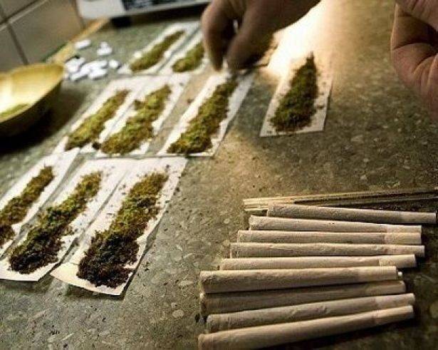 توقيف شخص بحوزته حشيشة ومخدرات في قبرشمول