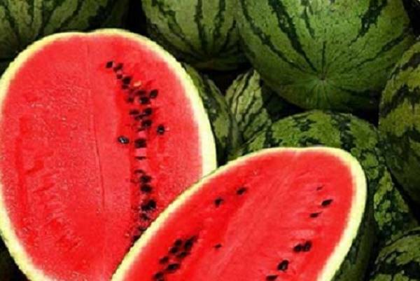 إلى عشاق البطيخ..إليكم طريقة لحفظه لمدة ستة أشهر كاملة دون أن يفسد!