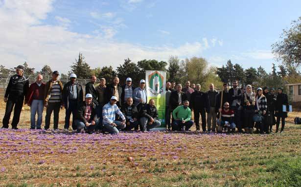 ورشة عمل لـ «جهاد البناء»
حول زراعة الزعفران