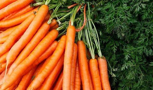 لهذه الأسباب.. يحميك الجزر والبطاطا الحلوة من الخرف
