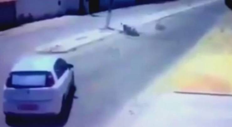 فيديو: نجا من حادث خطير فسقط عمود كهرباء على رأسه