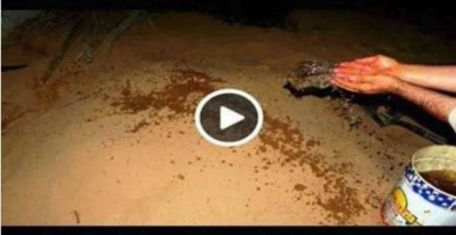 هل تعلم لماذا يتم رش الماء على القبور عند الدفن.. اليكم الاجابة