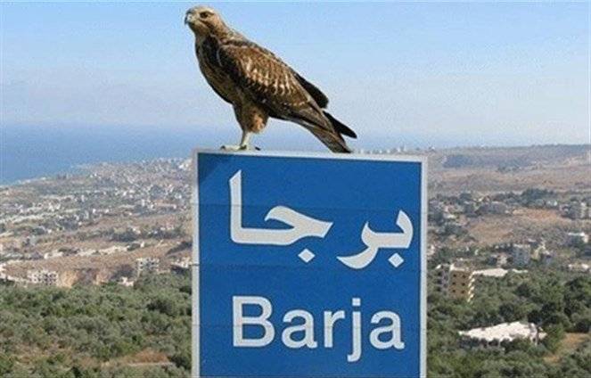 توقيف 3 أشخاص متورطين في الاعتداء على مدير المعهد الفني في برجا