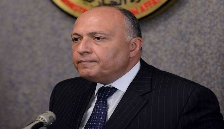 وزير الخارجية المصري يؤكد التزام بلاده بوحدة سوريا والحفاظ على الدولة
