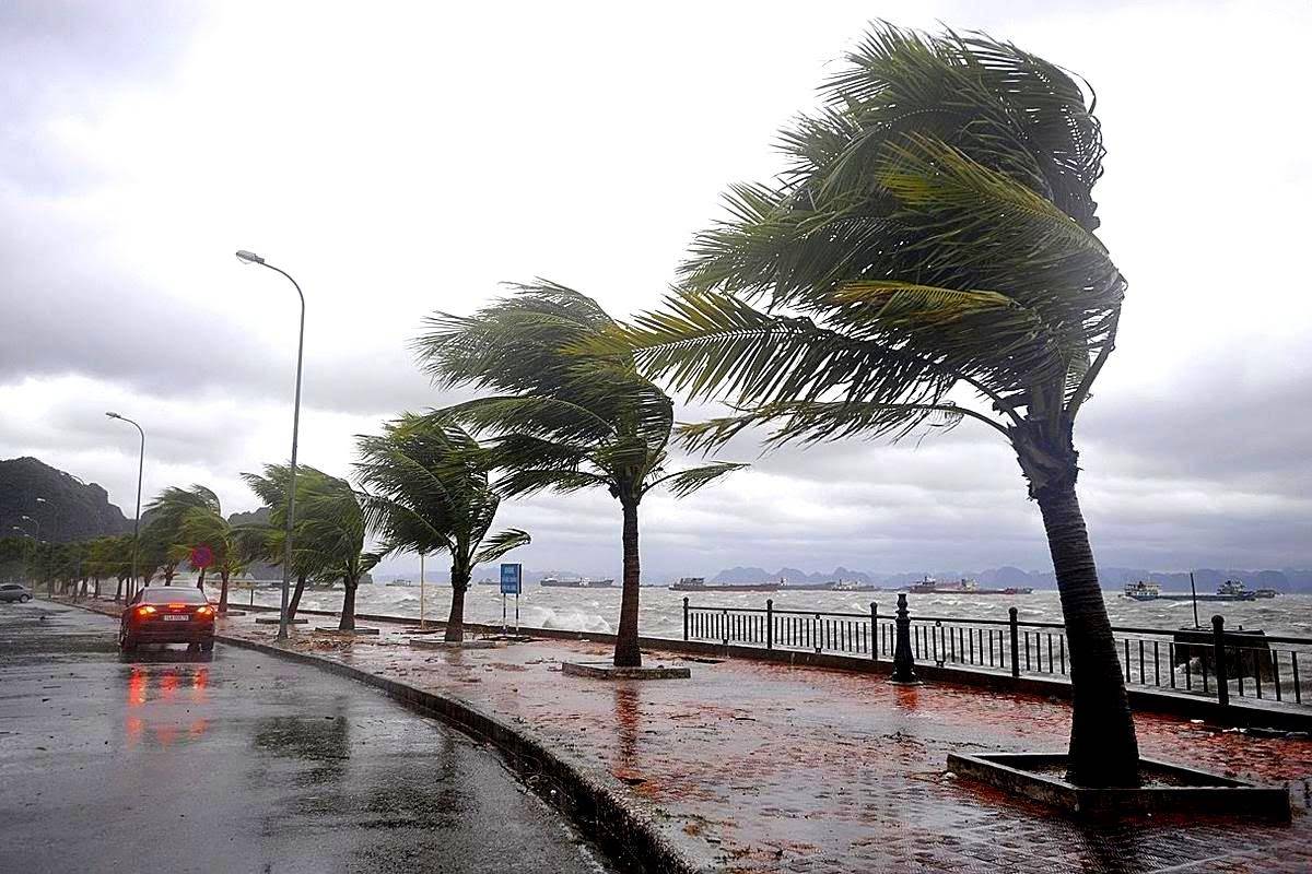 هذه آخر أخبار العاصفة في لبنان