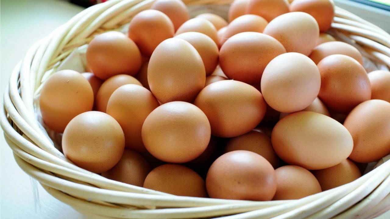 البيض محظور في النمسا.. والسبب؟!