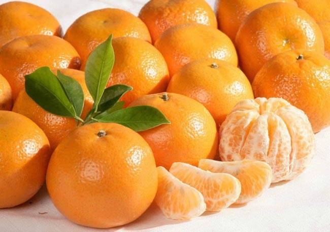 إذا عرفتَ فوائد اليوسفي.. ستتناوله يوميًا
