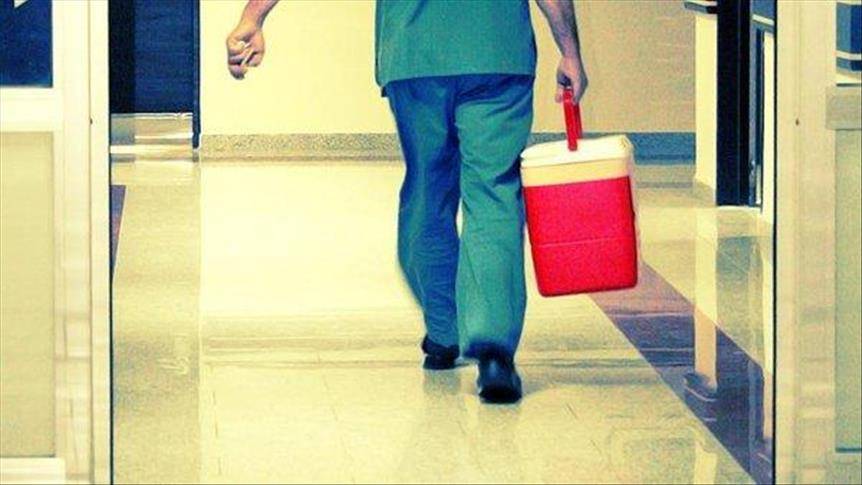 مصر تعلن ضبط "أكبر" شبكة دولية لتجارة الأعضاء البشرية