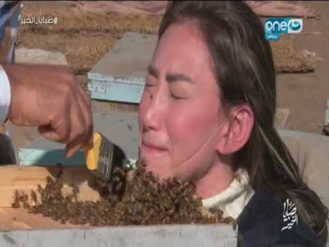 بالفيديو: هجوم خلية نحل على وجه إعلامية عربية مشهورة