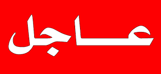 شاهد : بعد 4 سنوات العلم السوري يُرفرف فوق قلعة حلب الأثرية من جديد