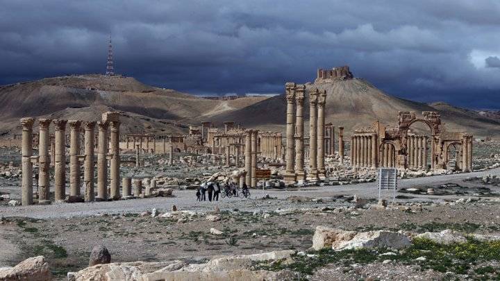 تنظيم 