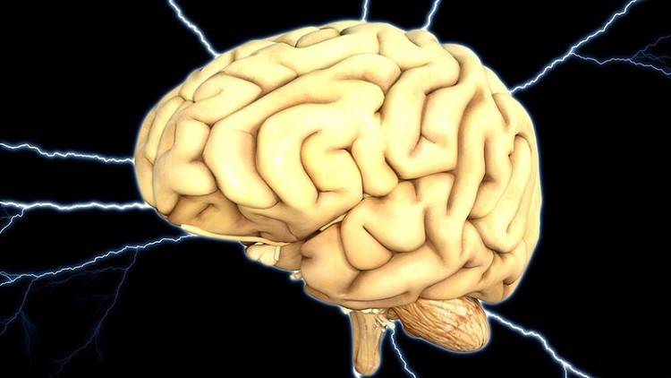 الجوع يساعد على إعادة ترتيب عمل الدماغ