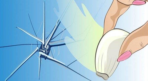 كيف تصلحون الزجاج المتشقق بواسطة فص ثوم ؟