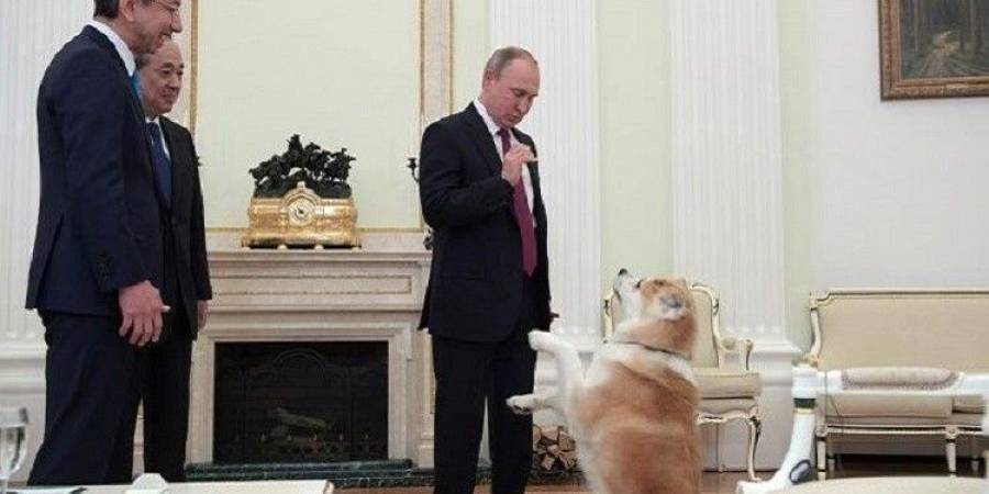 بالفيديو كلبة الرئيس اليابانية أخافت صحافيي مسقط رأسها!