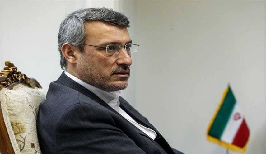 بعيدي نجاد: إنهاء ازمة سوريا يستلزم وقف دعم الإرهابيين