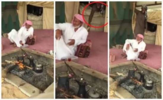 كان يتفاخر بقتل الثعابين فأحضروا له ثعبان صغير.. شاهدوا ماذا فعل!