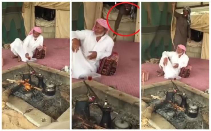 كان يتفاخر بقتل الثعابين فأحضروا له ثعبان صغير.. شاهدوا ماذا فعل!
