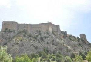 قرار خطير من اردوغان؟