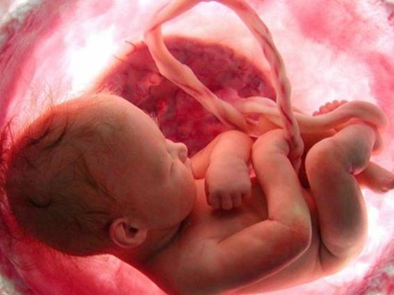 10 معلومات مذهلة عن الجنين في بطن أمه