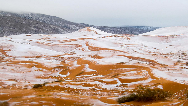 بالصور أول هطول للثلوج على الصحراء الكبرى منذ 40 سنة