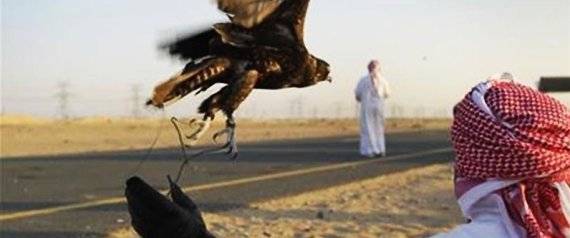 أمراء إماراتيون يتعرضون لإطلاق نار في باكستان 