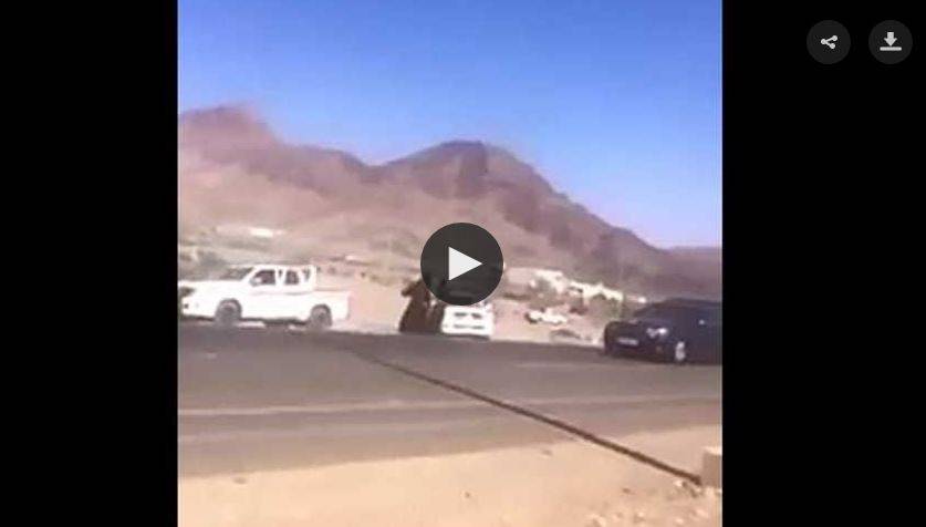 فيديو/ سيدة توقف موكبا لأمير سعودي .. شاهد ماذا حدث؟!