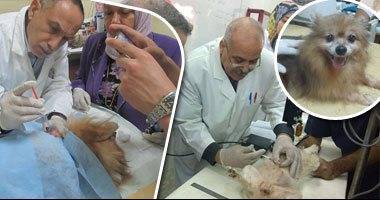 بشرى لمرضى السرطان.. قريبا علاج المرض بـ6 جنيهات..