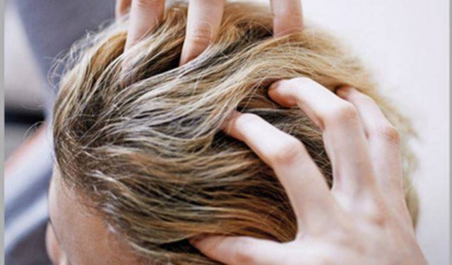 5 أطعمة تساعد على نمو الشعر وتمنع تساقطه