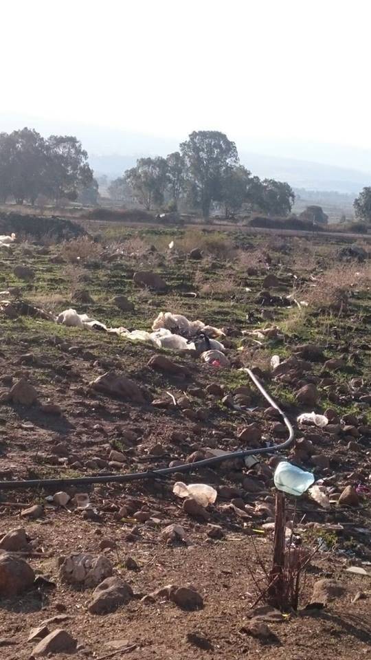 دورية اسرائيلية تتفقد السياج الحدودي ما بين الغجر ووادي العسل
