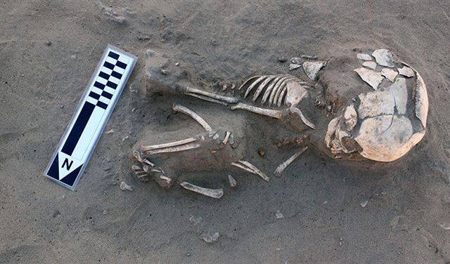 العثور على بقايا إنسان اندثر منذ 700 ألف سنة