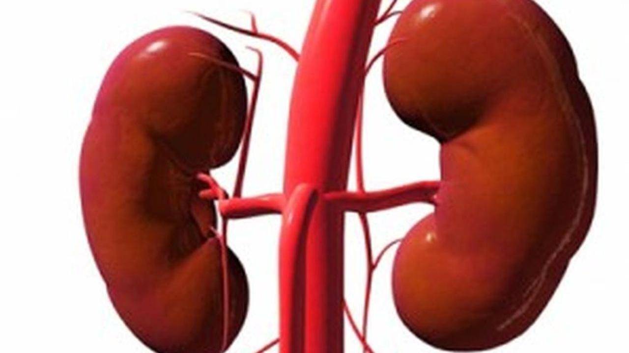 مشروب ينصح به الأطباء.. يغسل الكلى ويطهر الجسم من السموم!