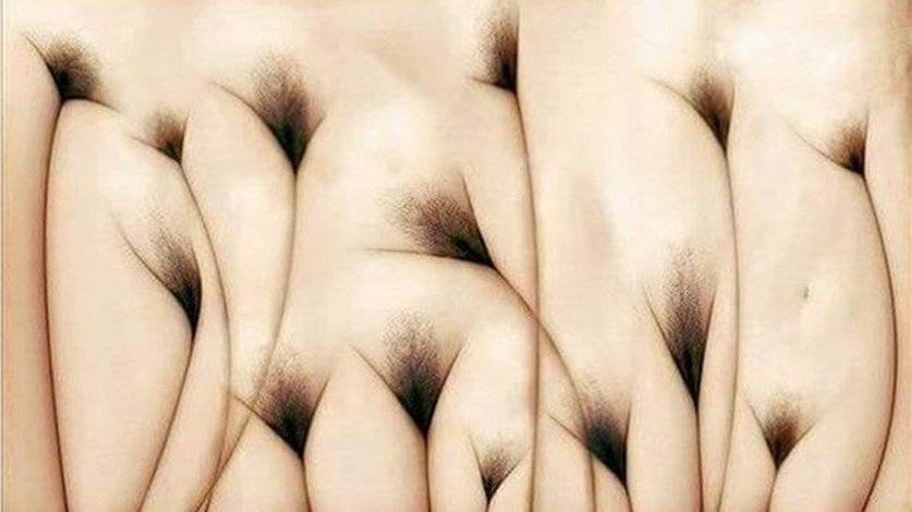 هذه الصورة ليست كما تعتقدون...