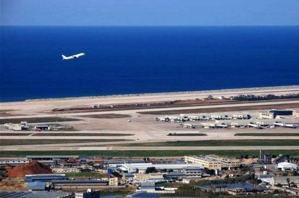 طيور النورس أذكى من إجراءات الحكومة!