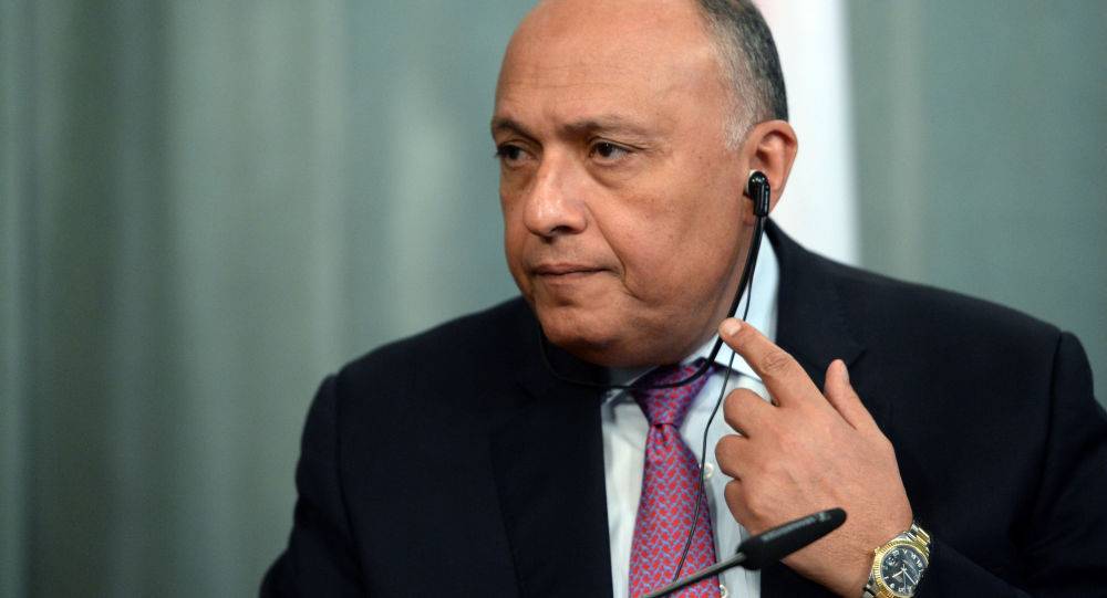 ما موقف مصر من الانخراط في الصراع السوري